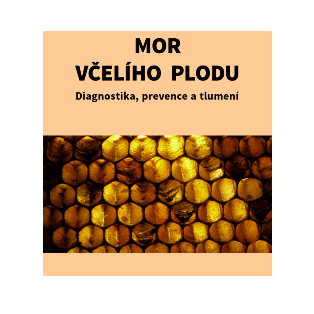 Mor včelího plodu