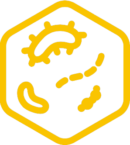 mikrobiolab-icon mikrobiolab-icon