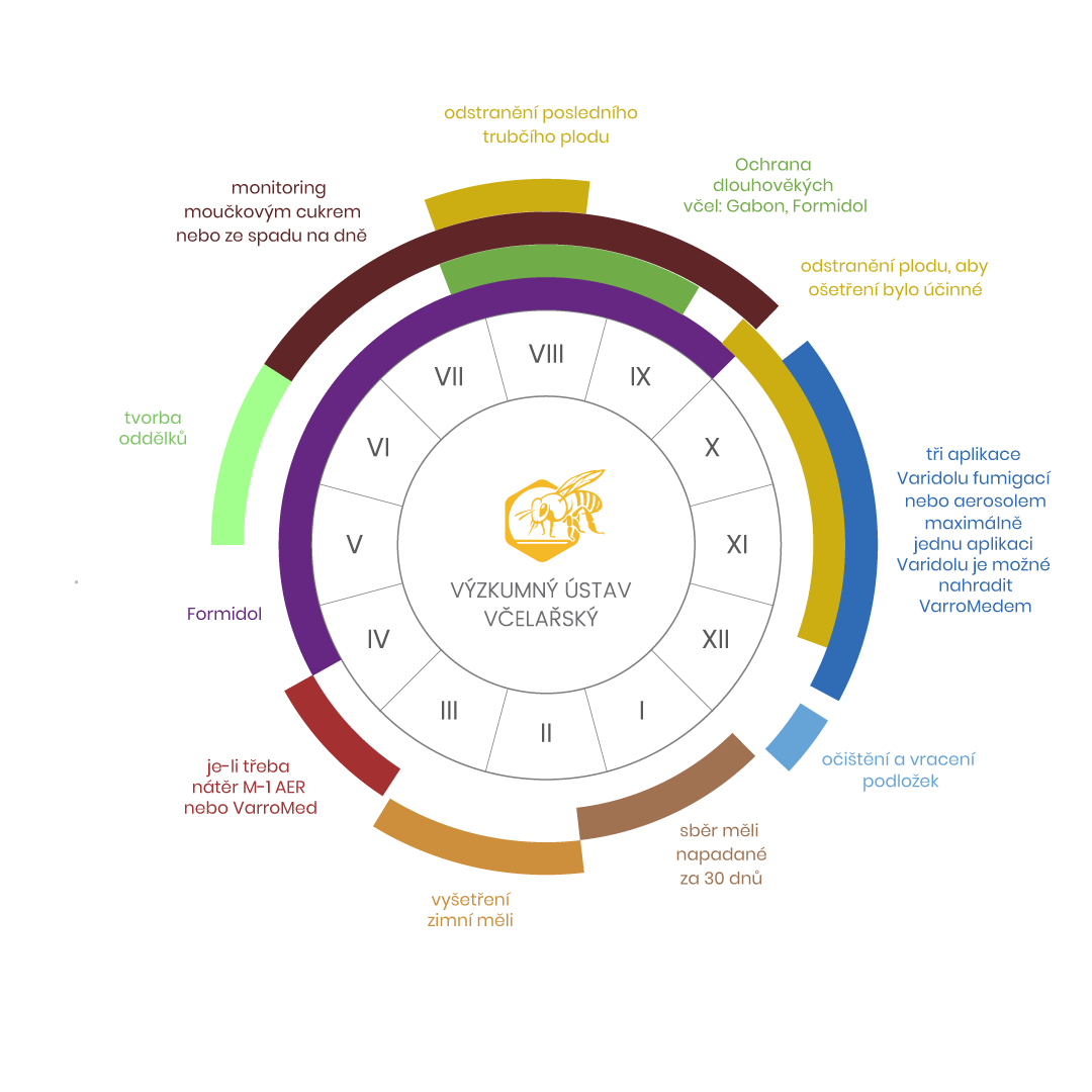 Celý rok proti varroáze – kruh
