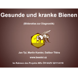 Gesunde und kranke Bienen