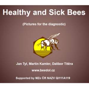 Healthy and sick bees