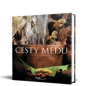 Cesty medu