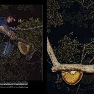 Cesty medu - Image 6