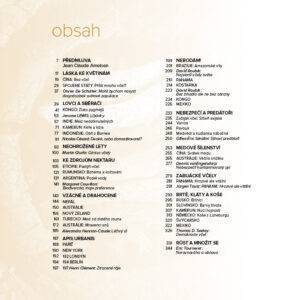 Cesty medu - Image 3
