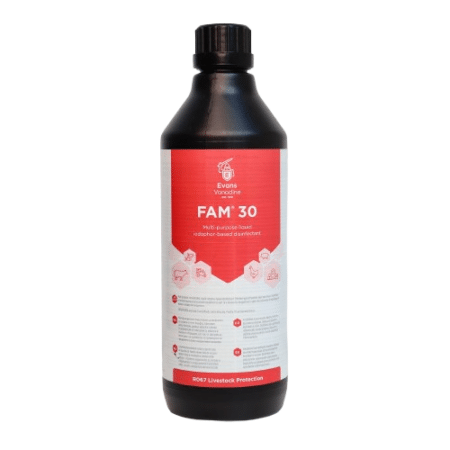 FAM 30 1 l