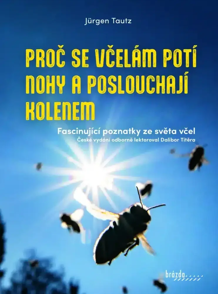 Proč se včelám potí nohy a poslouchají kolenem