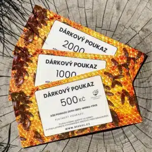 Dárkový poukaz tištěný - 2000 Kč - Image 3