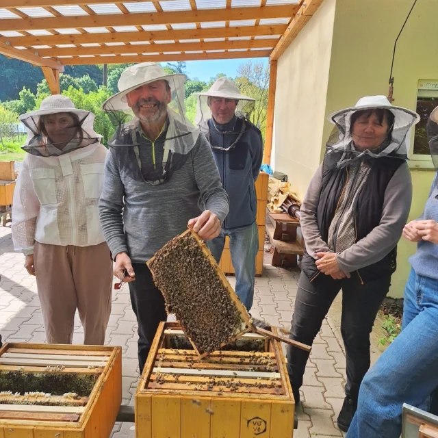 Účastníci třídílného kurzu základů včelaření mají už dvě třetiny úspěšně za sebou a postupně si osvojují důležité znalosti pro správný a zodpovědný chov včel. Na druhém setkání se blíže seznámili s péčí o včelstva a na vlastní kůži si vyzkoušeli základy včelařské praxe. Ta zahrnuje nejen plánování zásahů během celého roku, ale i přizpůsobování péče tomu, co včely zrovna potřebují – aby se jim dobře žilo a včelařům dobře včelařilo. Účastníci byli opravdu pilní a včely zase velmi klidné. Žihadel bylo jen pár, a i když se nějaké objevilo, všichni to zvládli statečně a s úsměvem. 
#vcelareni #kurzvcelareni #kurzvúvčdol #kurzBeeDol
