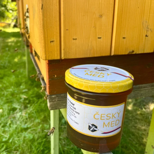 Proč prodávat vlastní med s víčky Český med? 
Sklenice, která je opatřena víčkem Český med deklaruje kvalitní med splňující normu Český med č. 1/1999, která stanovuje plnění přísnějších parametrů než je stanoveno v Evropské unii, a to: 
-	Nízký obsah vody - pod 18 %.
-	Nízká úroveň zahřátí – HMF pod 20 mg/kg.
Prodej medu s těmito víčky umožňuje zákazníkovi rozpoznat kvalitní produkt. Med je vyprodukován ze včelstev chovaných v České republice. 
Víčka mohou být doplněna pro jednotnou prezentaci etiketami Český med, které Vám připravíme i s Vašimi údaji (jménem včelaře, adresou, hmotností medu, minimální trvanlivostí).

Více: www.beedol.cz/cesky-med/

#kvalitamedu #víčkaČeskýMed #ČeskýMed